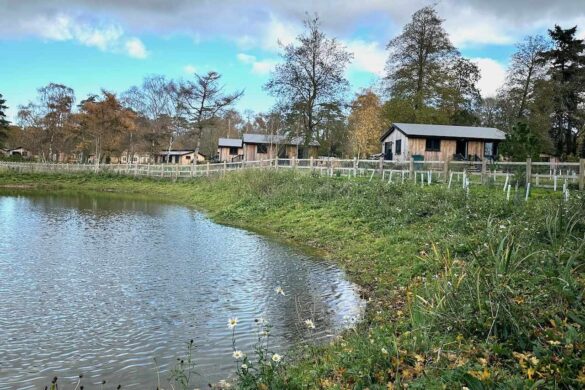 View Acroos Attenuation Pond to Blenheim Palace Lodge Retreat in Woodstock, Oxfordshire